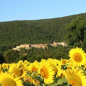  Casa di campagna Siena Vecchia Vacanze Italia